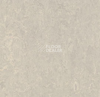 Линолеум Forbo Marmoleum Marbled Authentic 3136 concrete фото 1 | FLOORDEALER